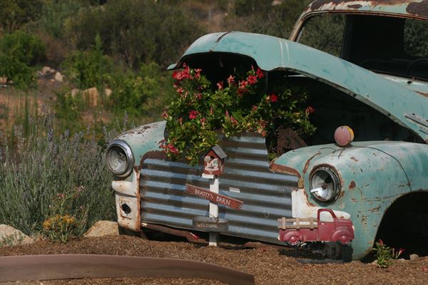 Rustic Ridge Vineyards