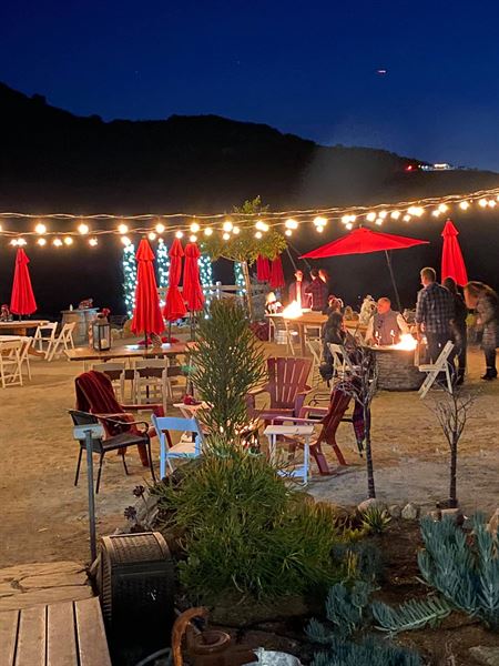 Rustic Ridge Vineyards