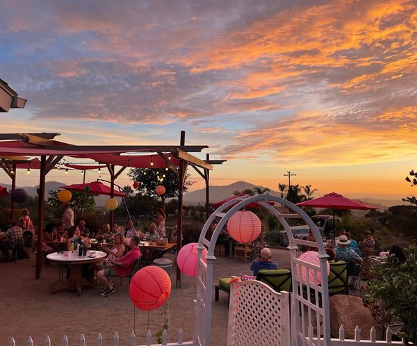 Rustic Ridge Vineyards