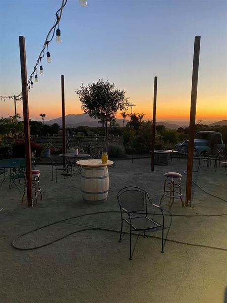 Rustic Ridge Vineyards