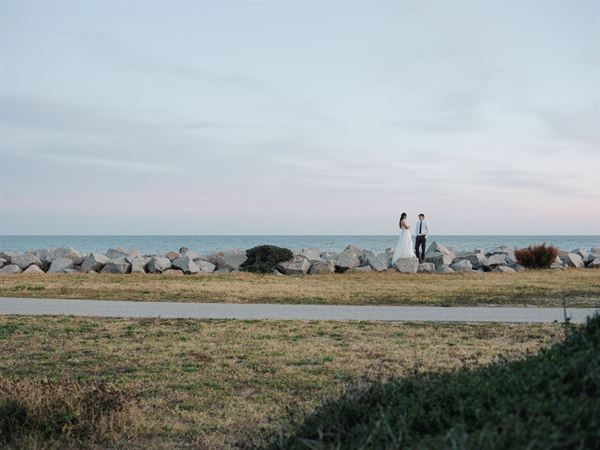 Pink Penguin Studios