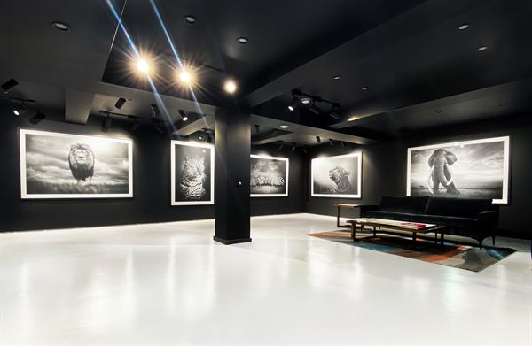Gefen Gallery