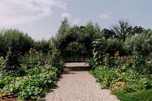 Zingerman's Cornman Farm