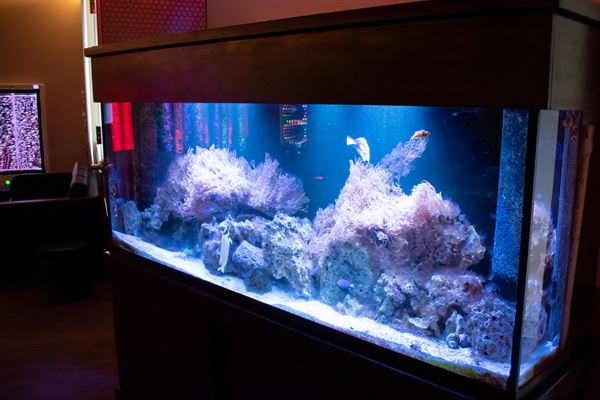 Clark Family Sensory Space at Ability Works