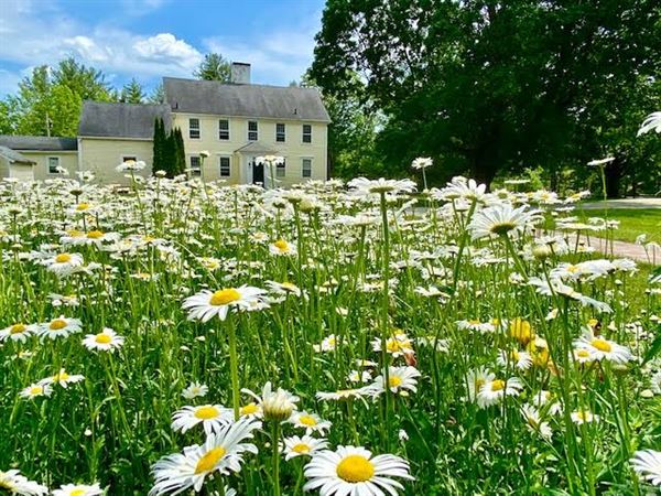 Stepping Stones Farm
