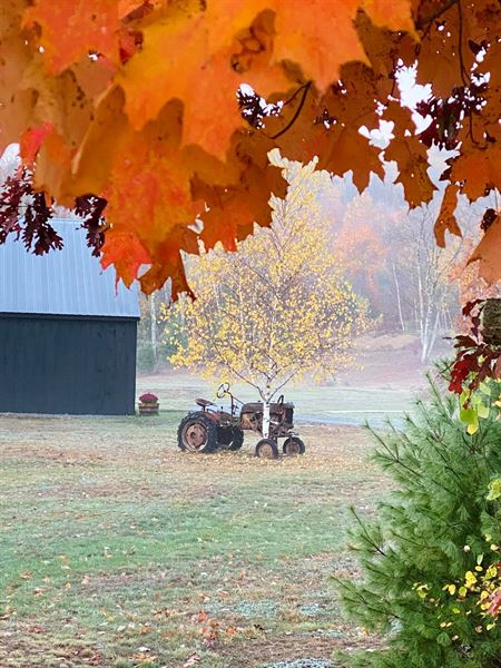 Mountain View Stables