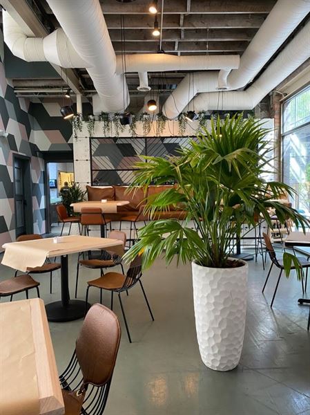 Social Kitchen & Bar