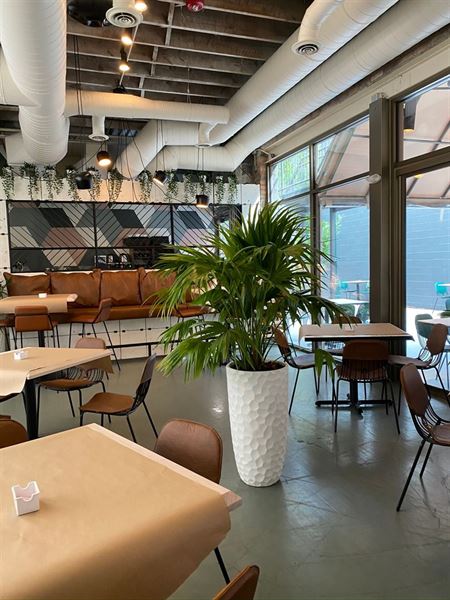 Social Kitchen & Bar