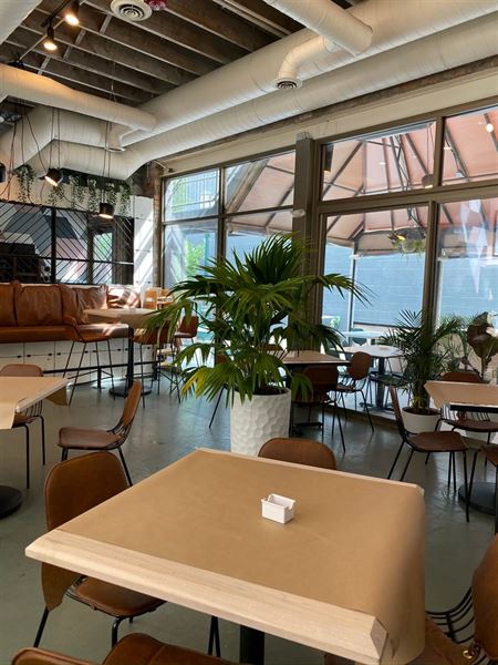 Social Kitchen & Bar