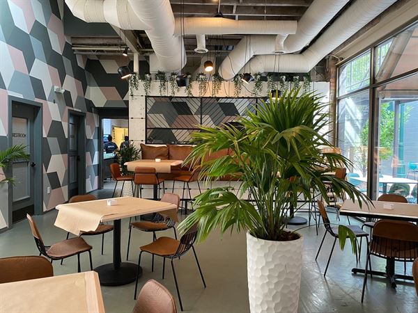 Social Kitchen & Bar