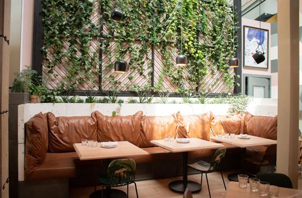 Social Kitchen & Bar