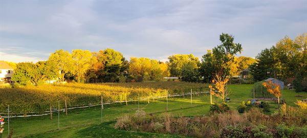 Evansburg Vineyards