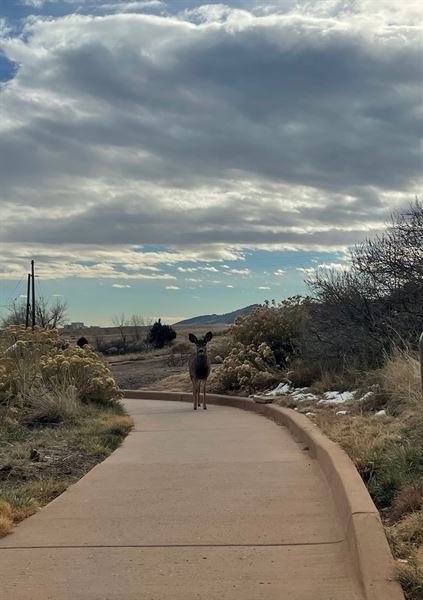 Primrose Studio at Reservoir Ridge Natural Area