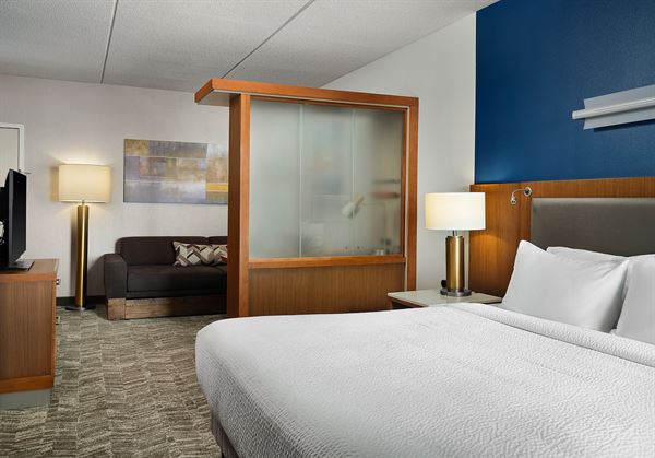SpringHill Suites Pittsburgh Mt. Lebanon