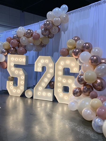 Alpha Lit Silicon Valley