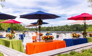 Stuart and Barbara Padnos Rooftop Sculpture Garden