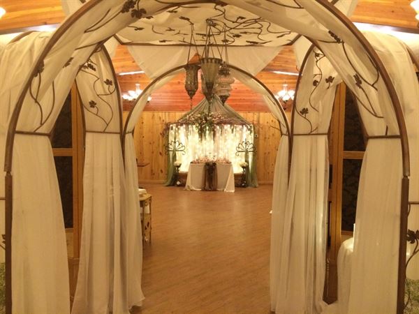 Geysers on the Terrace