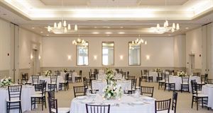 Hayne Street Gallery