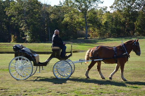 Secret Meadows at Green Dell Farm