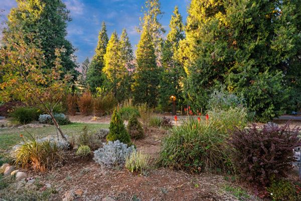 Sierra Banquet Center