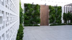 Outdoor Courtyard