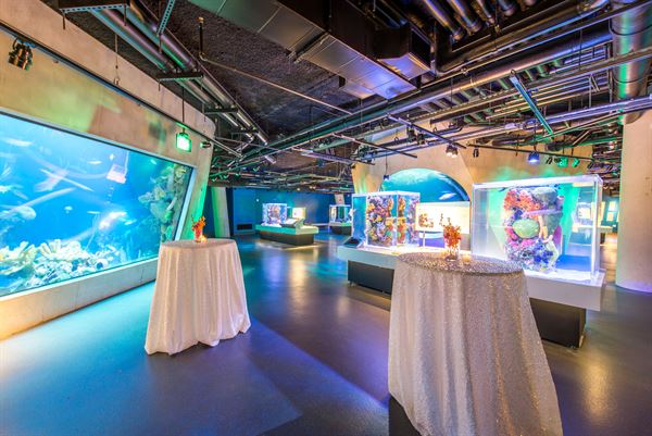 Phillip and Patricia Frost Museum of Science