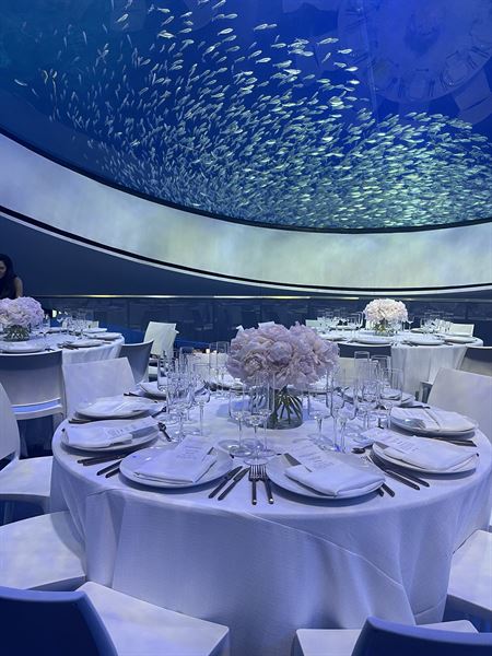 Phillip and Patricia Frost Museum of Science