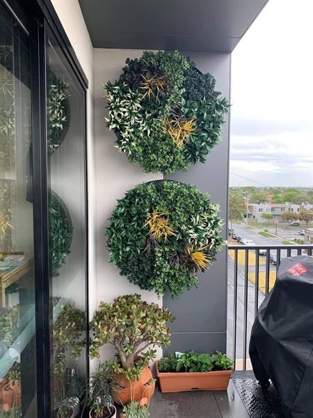 Designer Plants USA
