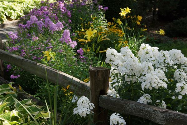 Panola Valley Gardens