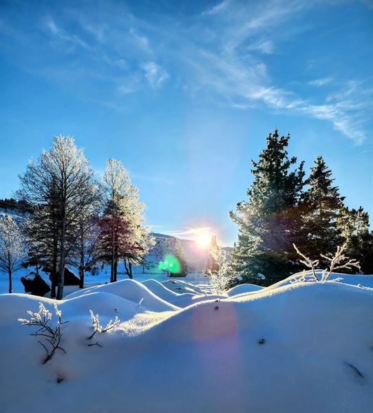 Madison River Resort