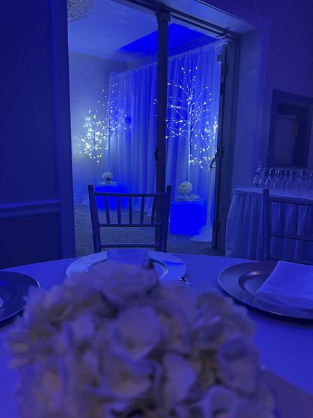 Gold Dust Event Planning & Decorating