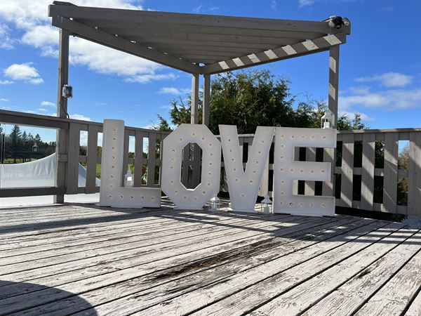 Gold Dust Event Planning & Decorating