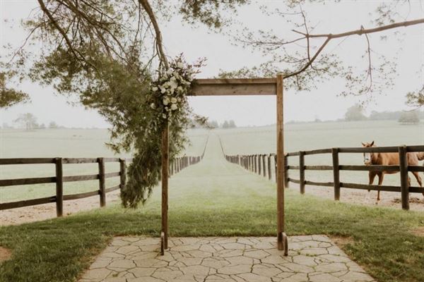 The Vintage Barn at Merefield