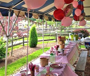 Reserved Outdoor Party Area