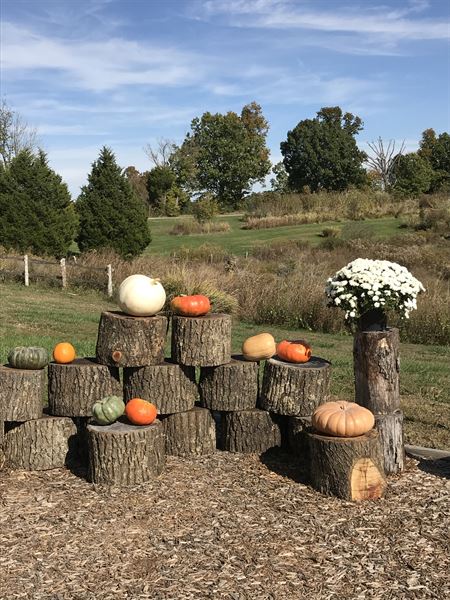 The Barn at Magnolia Farm