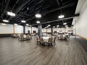 Aspen, Birch and Cedar