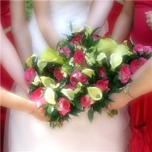 All Eyes on You Portraiture and Event Photography - Indianapolis