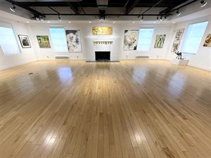 Cindi Elkins Gallery