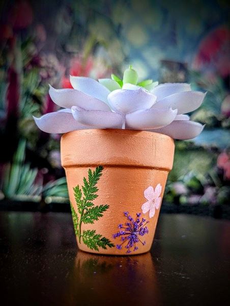 Fresh Memories Studio