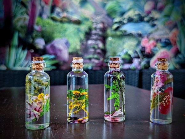 Fresh Memories Studio