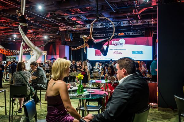 Bravo Arts & Entertainment