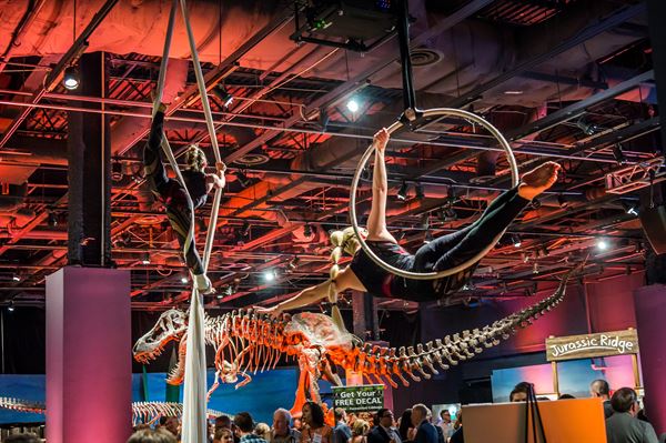 Bravo Arts & Entertainment