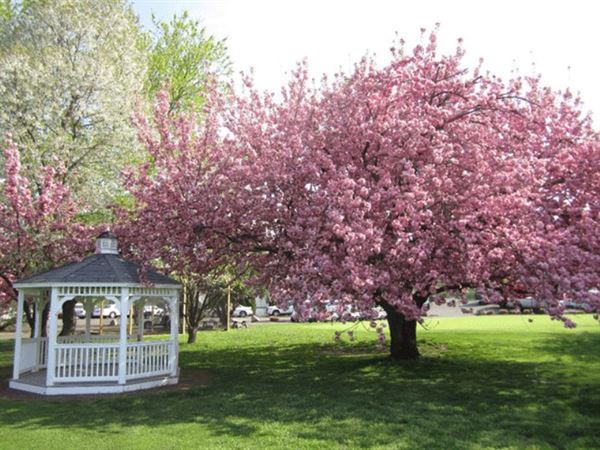 Middletown Country Club