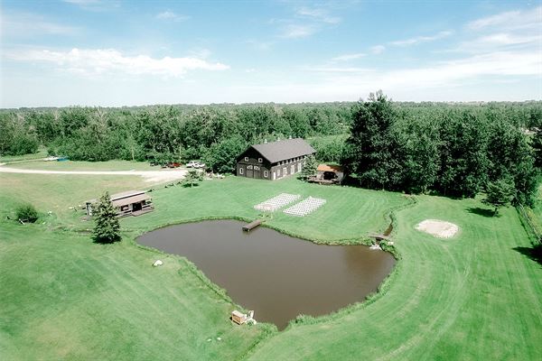 Montana Wildflower Weddings & Special Events