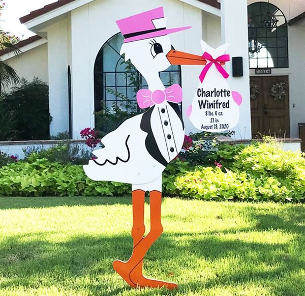 Turlock Storks and More