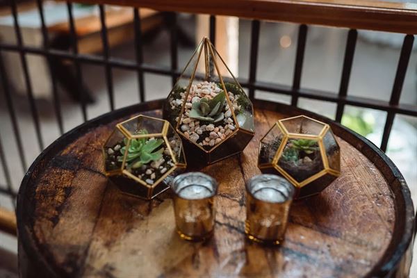 Land O' Goshen Farm Event Center