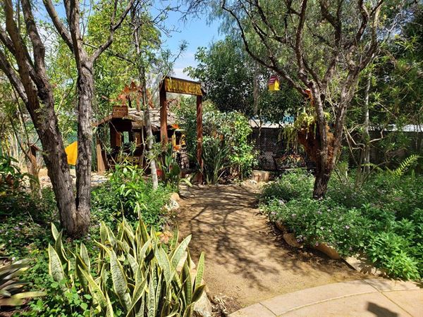 The Water Conservation Garden