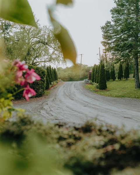 Northumberland Heights Weddings & Events