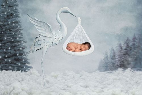 Narmin Nasir Photography