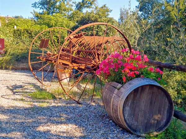 Chandler Reach Vineyards
